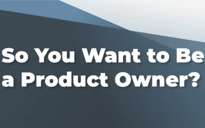 So You Want to Be a Product Owner?